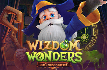 ปก Wizdom Wonders