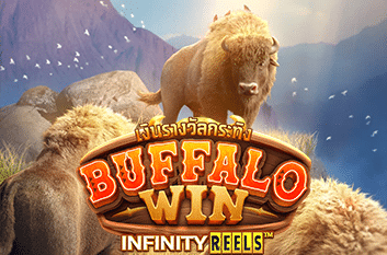 ปก Buffalo Win