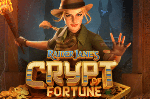 ปก Raider Jane